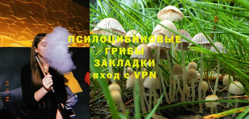 Галлюциногенные грибы MAGIC MUSHROOMS  Городец 